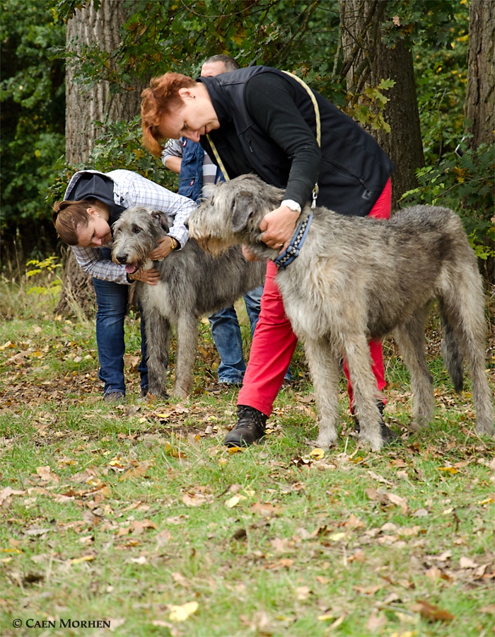 What can be more nice for breeder as loving owners?