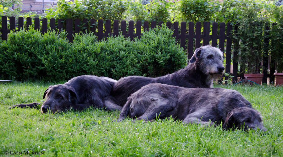 Evening pack