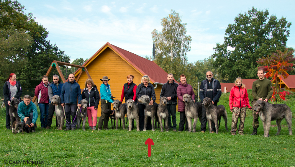 DAUGHTER as mother - puppymeeting 2015