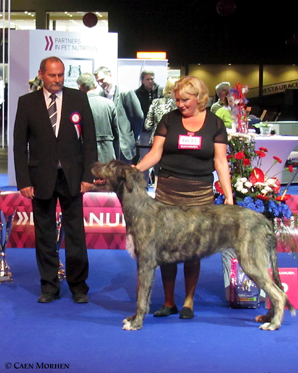 Eurodog - EYWA Junior BIG 2