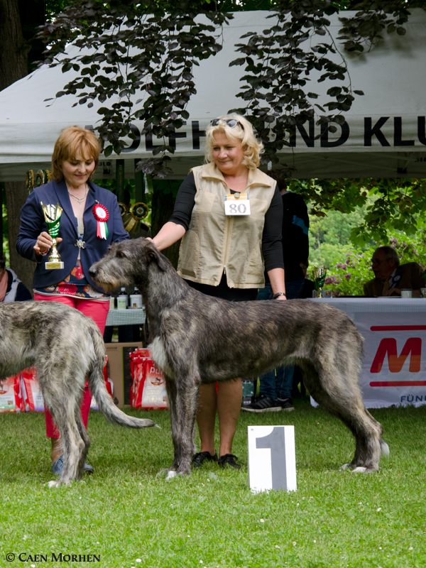 Summer Club Show WDK - EYWA - winner - CAC