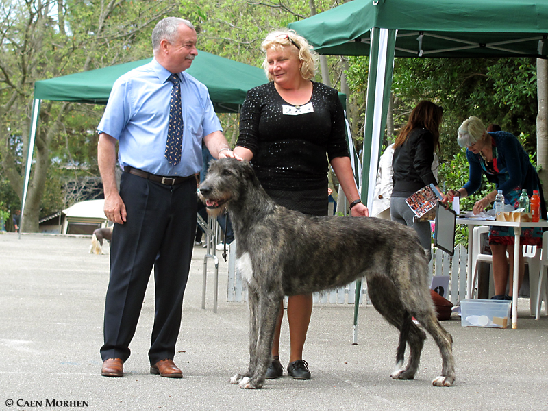 EYWA Best of Breed 18 months