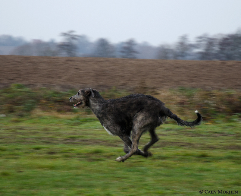 She LOVE running