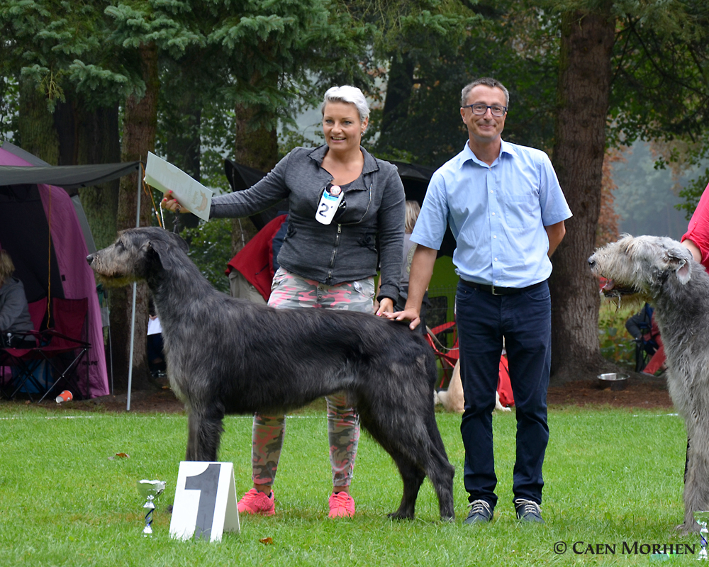 Gordey won excellen class club show 2016