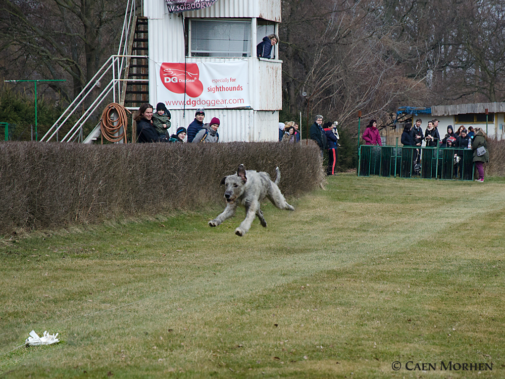 GAIA - flying in race-circuit in Kolin