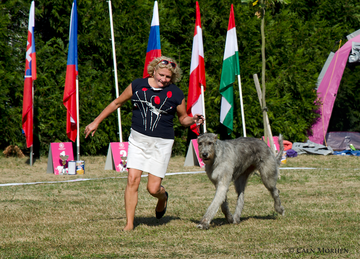 Club Show KCHCH  2018 - GAIA CAC, Winner of Konopiste, BOB, BIG IV, BIS female III