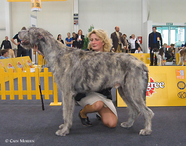 Eurodog_Show_2003_TELL_won.jpg