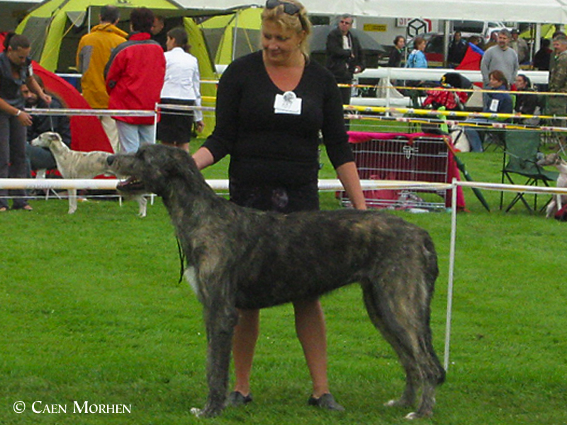 CACIB Mlada Boleslav res CAC