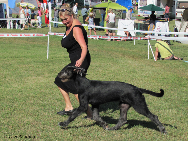 Italy, show - nice movement