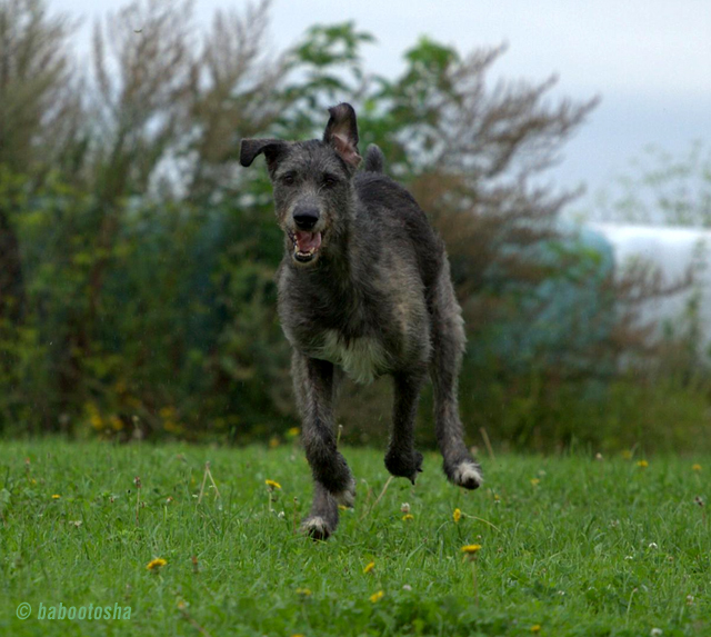 Daughter_like_running .....