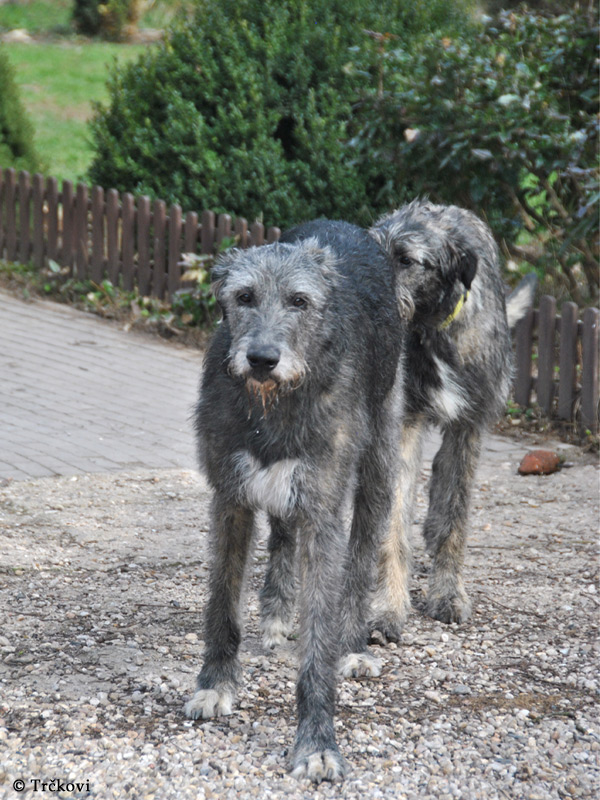 Here is mum - Daughter and Green