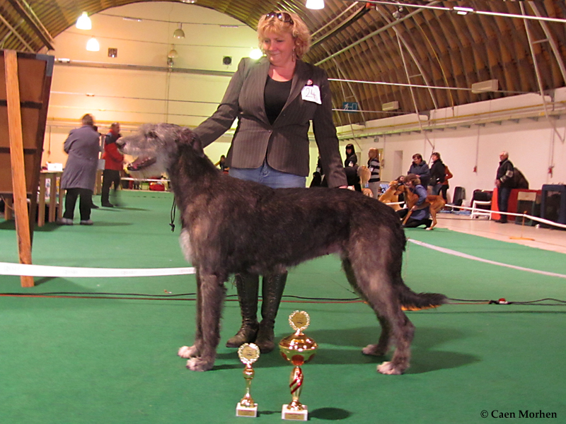 Clubshow DAUGHTER - CAC, Clubwinner, BOB