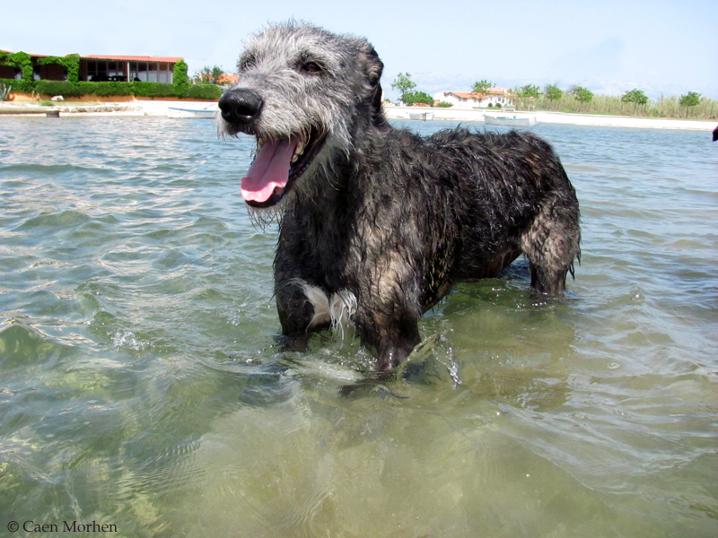 Watersmile