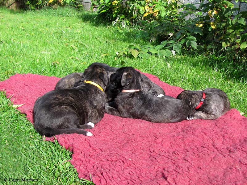 Three sisters: not curious to visitors :)