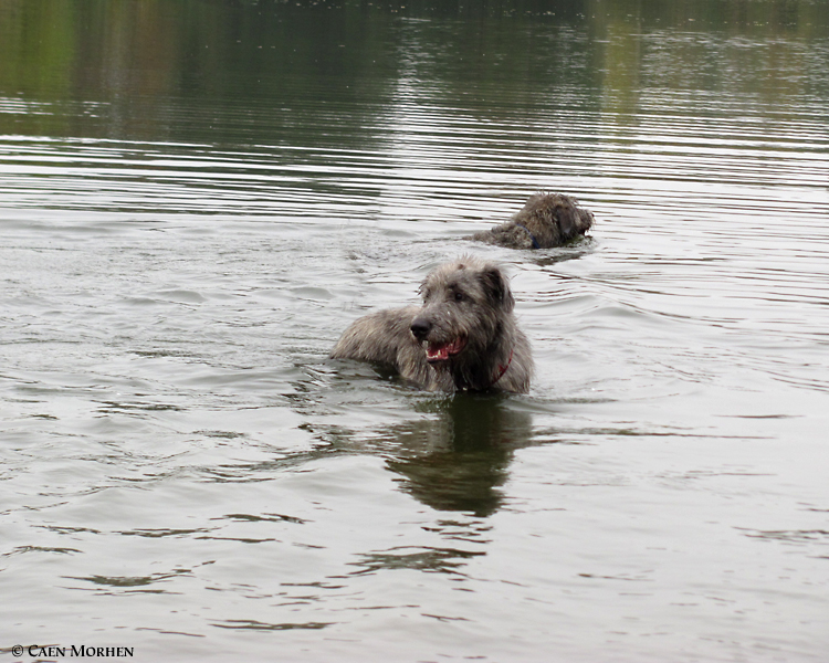 EADOIN (light blue) and EDANA ("Raisin") as loch-nesses