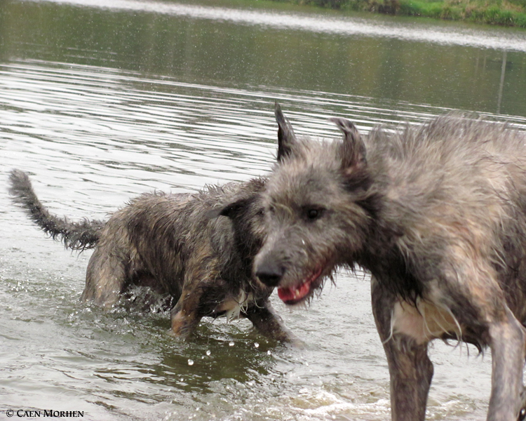 I swam and now I'm flying