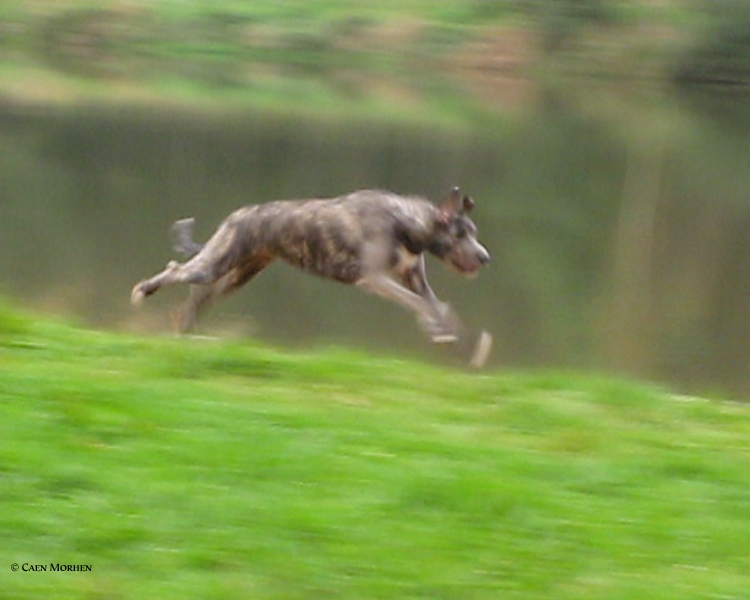 Flying FYAWINTXU EYWA