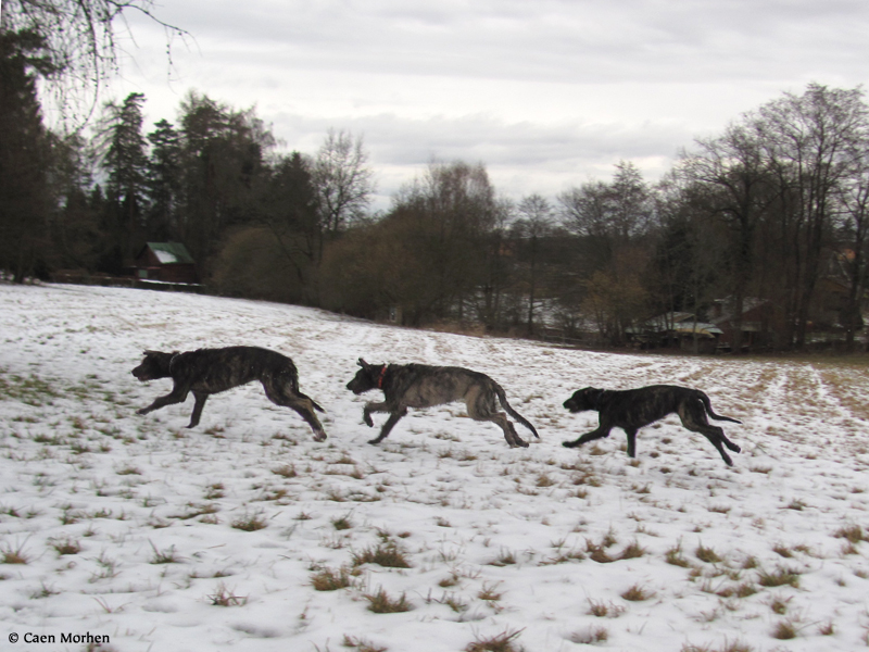 Sisters run - EYWA, FAYTHE, FORSYTHIA