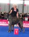 Amazing success - Eywa Euro Junior Winner and BOS, BIG 2 (14 in class, 13 months)