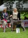 Summer Club Show WDK - EYWA - winner - CAC