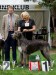 Autumn Club Show WDK - F. EYWA winner - CAC