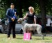 FCI Eurosighthound and Speciality show - two days - GAIA CAJC, BOJ, lot of IW enetred