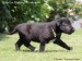 Gordey - 4,5 weeks, movement