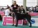 World dog show Budapest - V2 and res. CAC