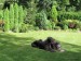 NIce rest in garden, with Gordey