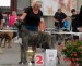 International dog show - 11 months old EYWA won res Best Of Day